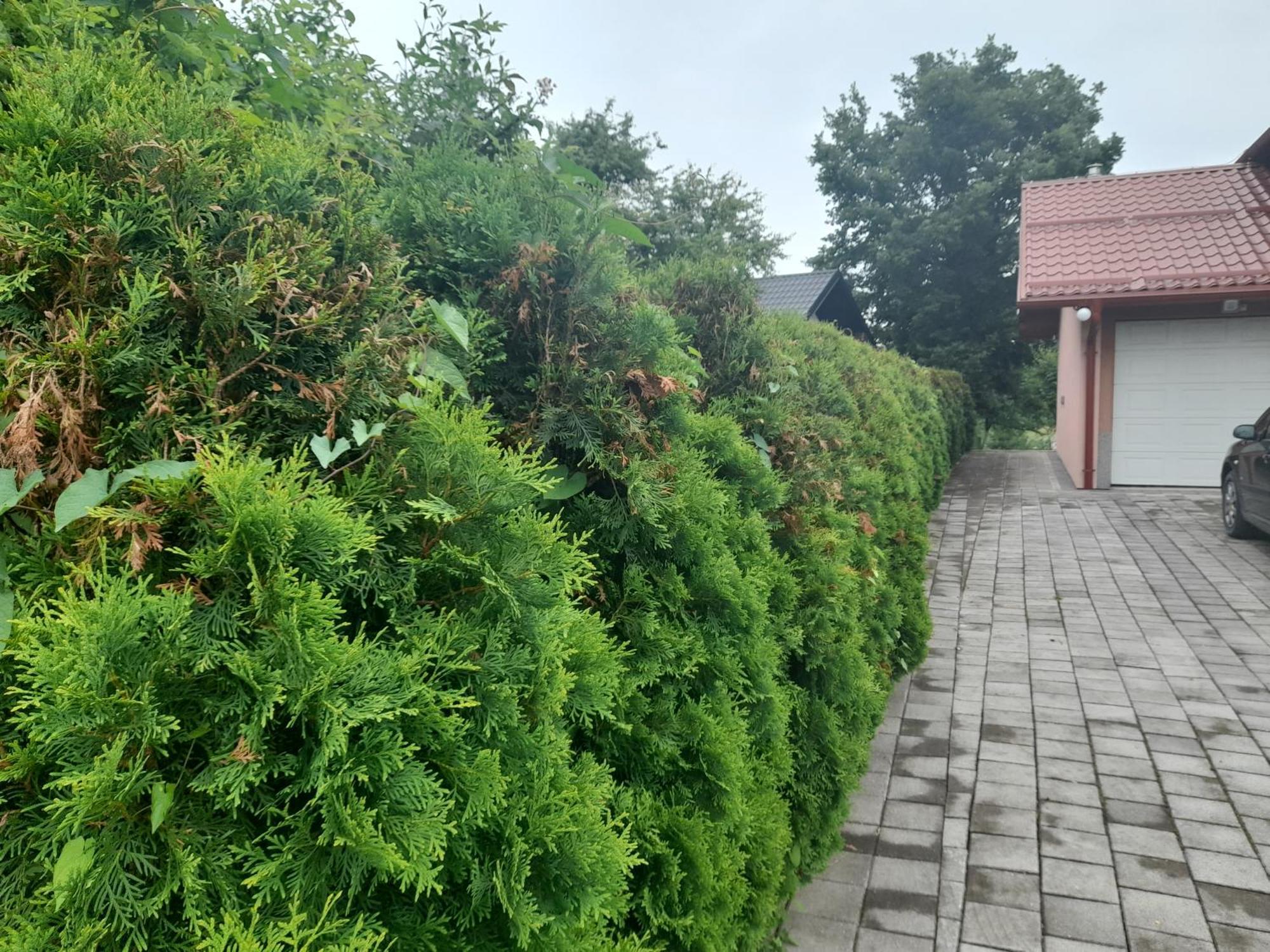 Villa Usivak For Green Quiet Holiday Near Sarajevo#Travellerawards2025 Exterior foto